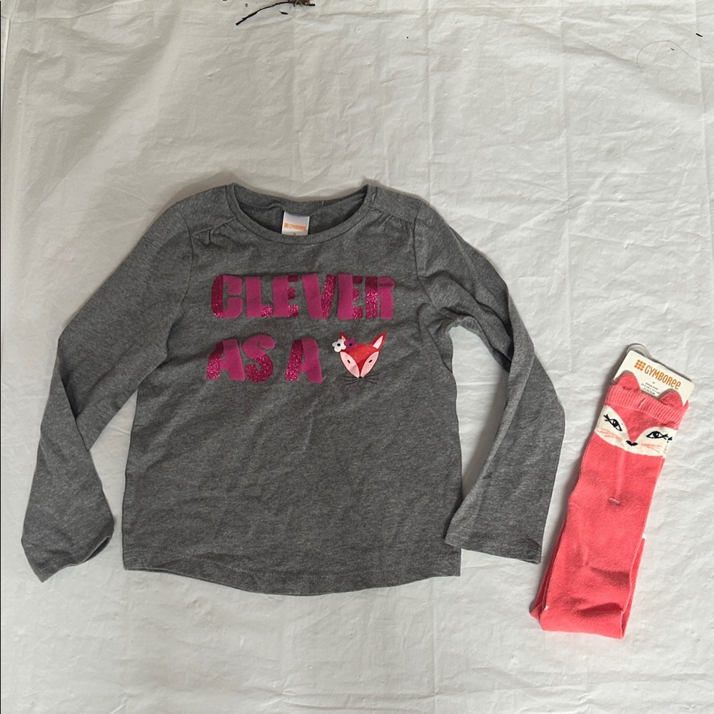 FALL IS COMING!!! Gymboree Gray and Pink Kids Matching Set